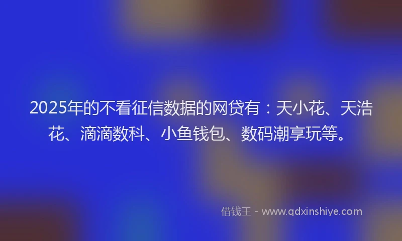 2025年的不看征信数据的网贷有：天小花、天浩花、滴滴数科、小鱼钱包、数码潮享玩等。