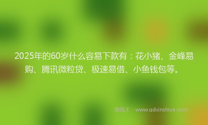 2025年的60岁什么容易下款有：花小猪、金峰易购、腾讯微粒贷、极速易借、小鱼钱包等。