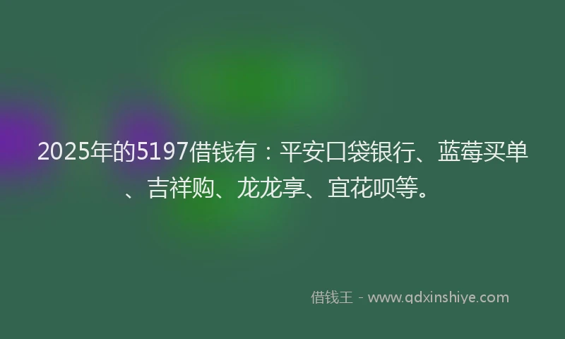 2025年的5197借钱有：平安口袋银行、蓝莓买单、吉祥购、龙龙享、宜花呗等。