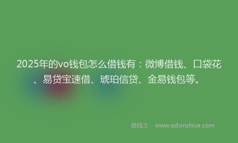 2025年的vo钱包怎么借钱有：微博借钱、口袋花、易贷宝速借、琥珀信贷、金易钱包等。