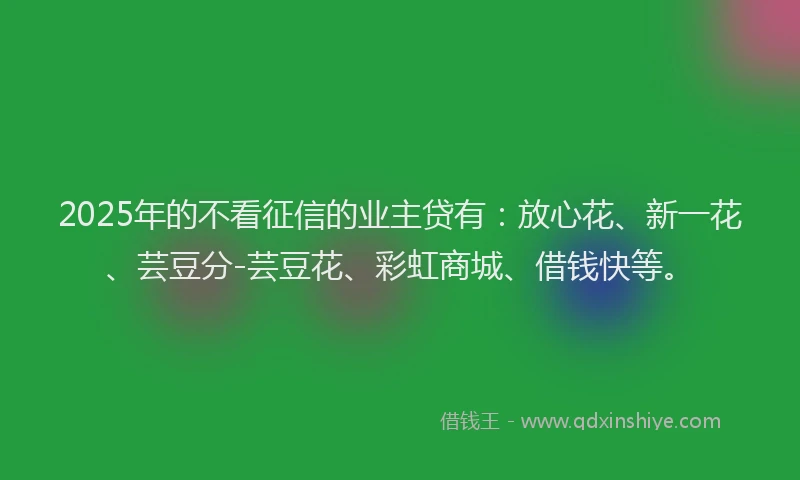 2025年的不看征信的业主贷有：放心花、新一花、芸豆分-芸豆花、彩虹商城、借钱快等。