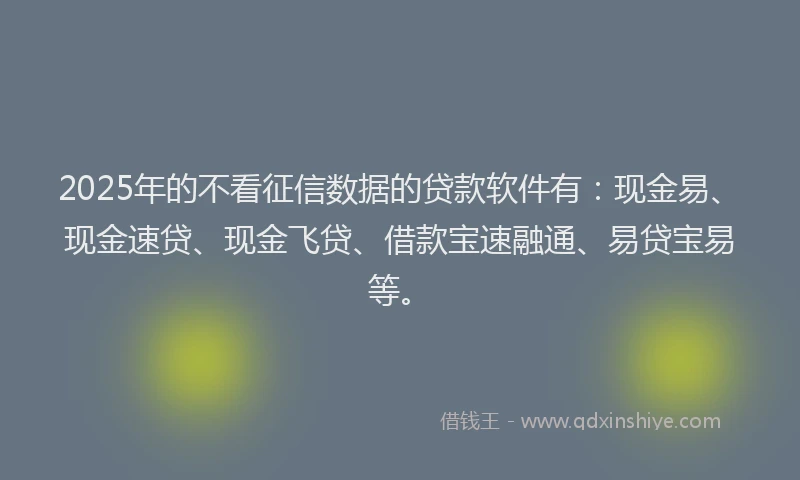 2025年的不看征信数据的贷款软件有：现金易、现金速贷、现金飞贷、借款宝速融通、易贷宝易等。