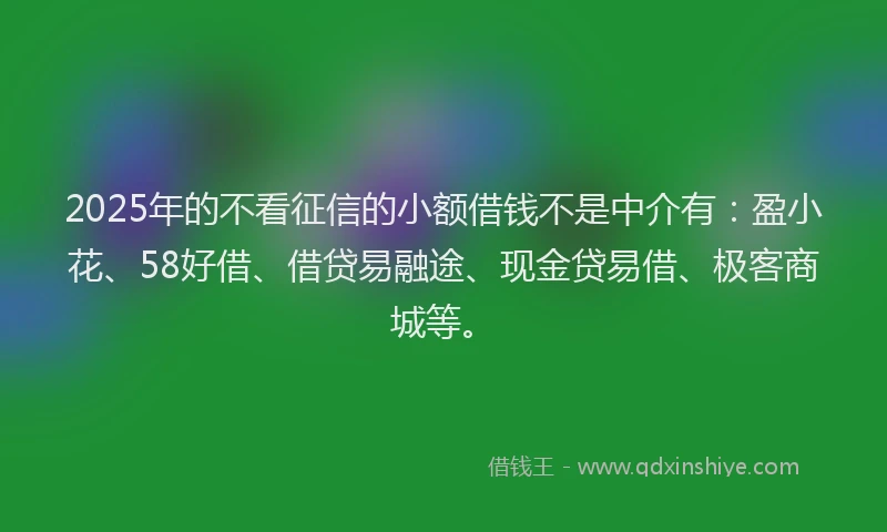 2025年的不看征信的小额借钱不是中介有：盈小花、58好借、借贷易融途、现金贷易借、极客商城等。