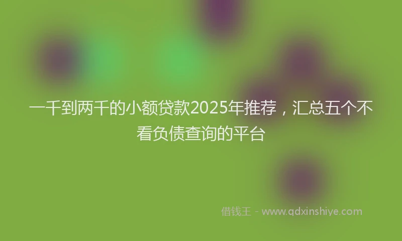 一千到两千的小额贷款2025年推荐，汇总五个不看负债查询的平台