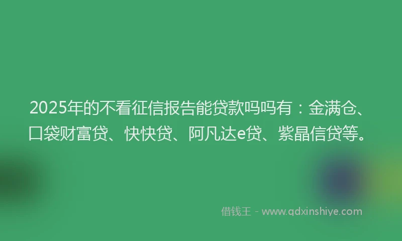 2025年的不看征信报告能贷款吗吗有：金满仓、口袋财富贷、快快贷、阿凡达e贷、紫晶信贷等。