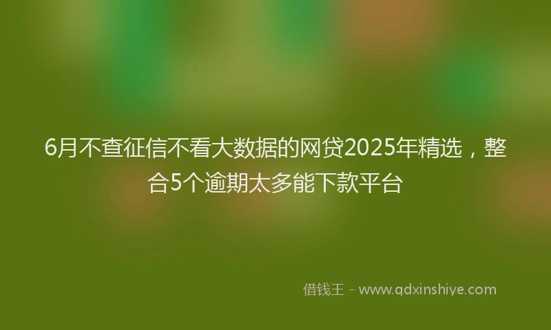 6月不查征信不看大数据的网贷2025年精选，整合5个逾期太多能下款平台
