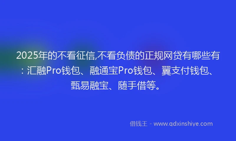 2025年的不看征信,不看负债的正规网贷有哪些有：汇融Pro钱包、融通宝Pro钱包、翼支付钱包、甄易融宝、随手借等。
