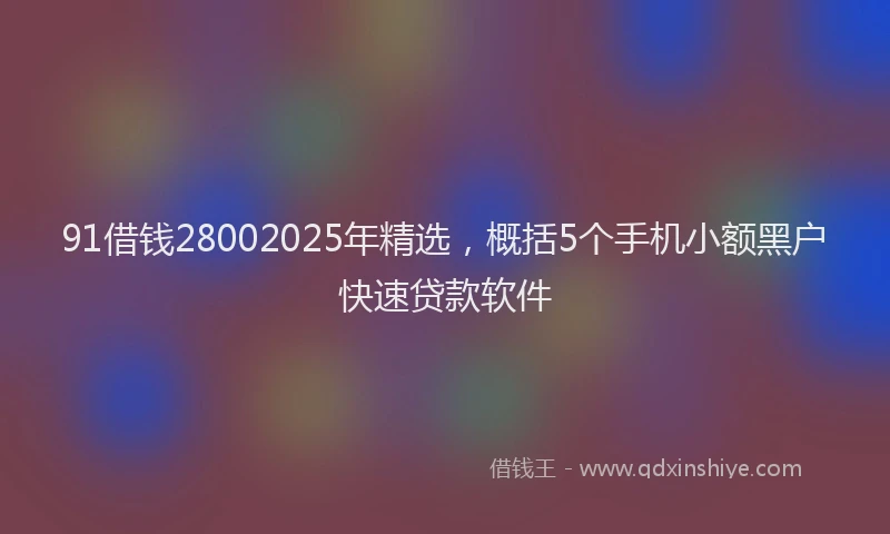 91借钱28002025年精选，概括5个手机小额黑户快速贷款软件