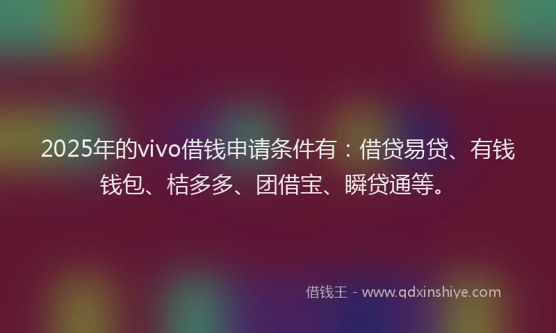 2025年的vivo借钱申请条件有：借贷易贷、有钱钱包、桔多多、团借宝、瞬贷通等。