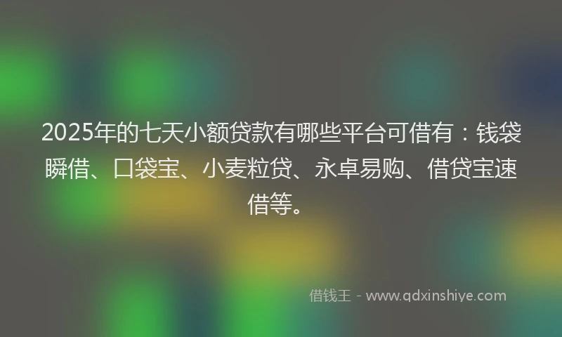 2025年的七天小额贷款有哪些平台可借有：钱袋瞬借、口袋宝、小麦粒贷、永卓易购、借贷宝速借等。
