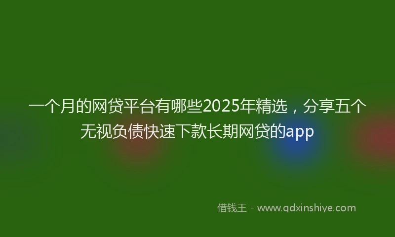一个月的网贷平台有哪些2025年精选，分享五个无视负债快速下款长期网贷的app