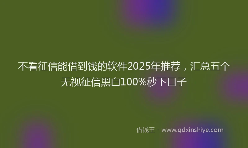 不看征信能借到钱的软件2025年推荐，汇总五个无视征信黑白100%秒下口子