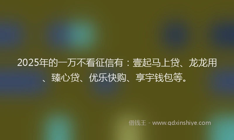 2025年的一万不看征信有：壹起马上贷、龙龙用、臻心贷、优乐快购、享宇钱包等。