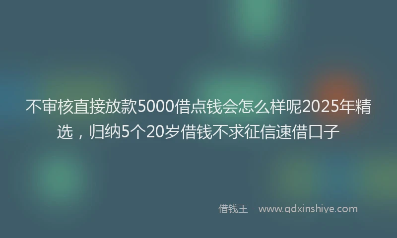 不审核直接放款5000借点钱会怎么样呢2025年精选，归纳5个20岁借钱不求征信速借口子
