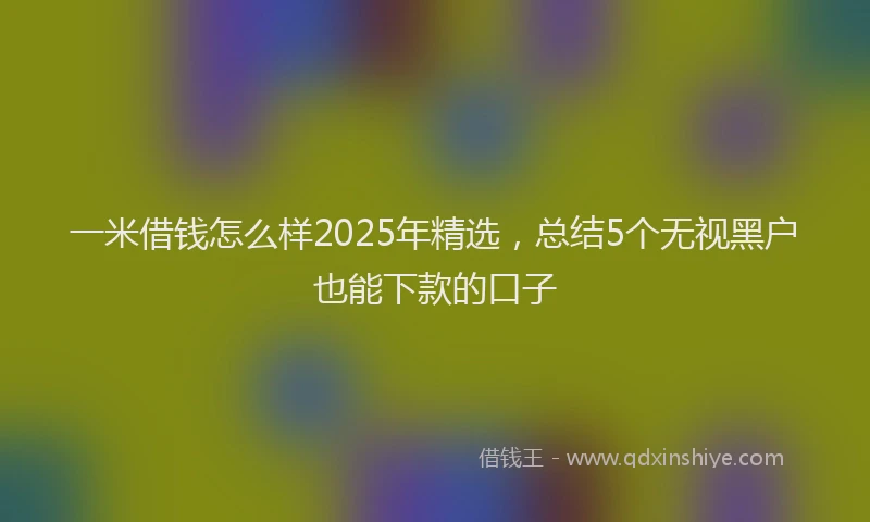 一米借钱怎么样2025年精选，总结5个无视黑户也能下款的口子
