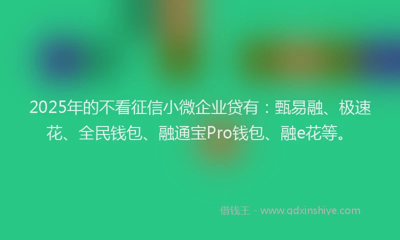2025年的不看征信小微企业贷有：甄易融、极速花、全民钱包、融通宝Pro钱包、融e花等。
