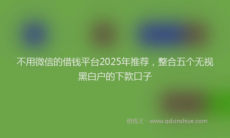 不用微信的借钱平台2025年推荐，整合五个无视黑白户的下款口子