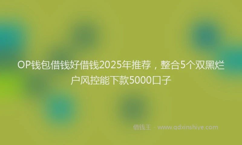 OP钱包借钱好借钱2025年推荐，整合5个双黑烂户风控能下款5000口子