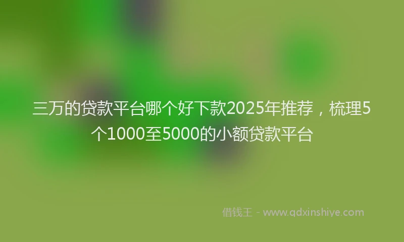 三万的贷款平台哪个好下款2025年推荐，梳理5个1000至5000的小额贷款平台