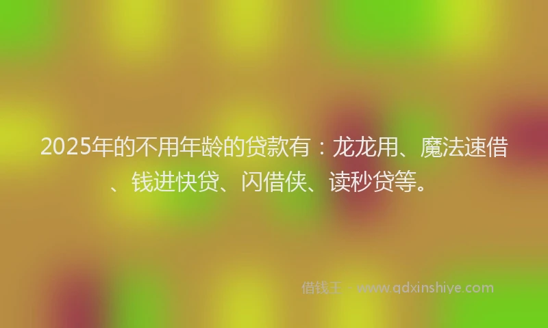 2025年的不用年龄的贷款有：龙龙用、魔法速借、钱进快贷、闪借侠、读秒贷等。