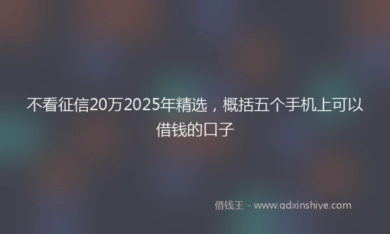 不看征信20万2025年精选，概括五个手机上可以借钱的口子