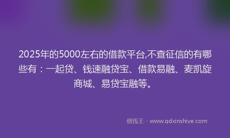 2025年的5000左右的借款平台,不查征信的有哪些有：一起贷、钱速融贷宝、借款易融、麦凯旋商城、易贷宝融等。
