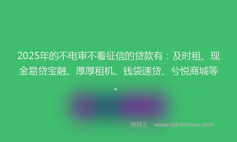 2025年的不电审不看征信的贷款有：及时租、现金易贷宝融、厚厚租机、钱袋速贷、兮悦商城等。