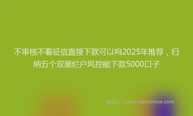 不审核不看征信直接下款可以吗2025年推荐，归纳五个双黑烂户风控能下款5000口子