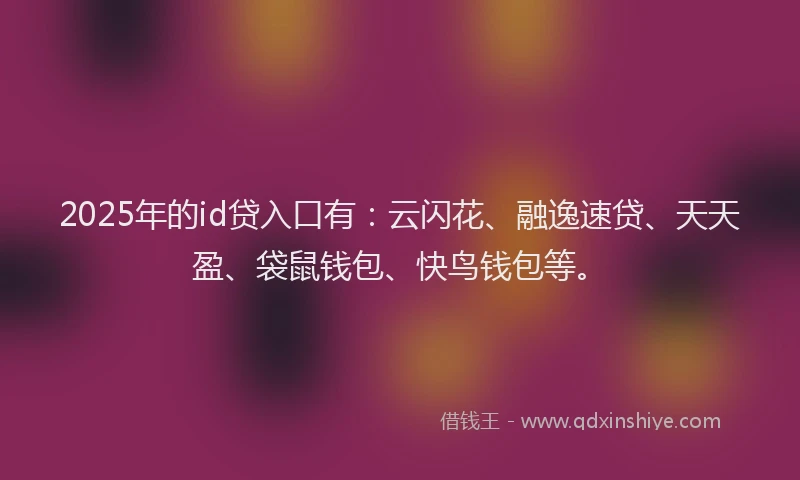 2025年的id贷入口有：云闪花、融逸速贷、天天盈、袋鼠钱包、快鸟钱包等。