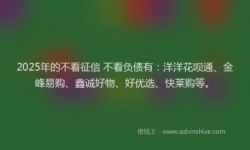 2025年的不看征信 不看负债有：洋洋花呗通、金峰易购、鑫诚好物、好优选、快莱购等。