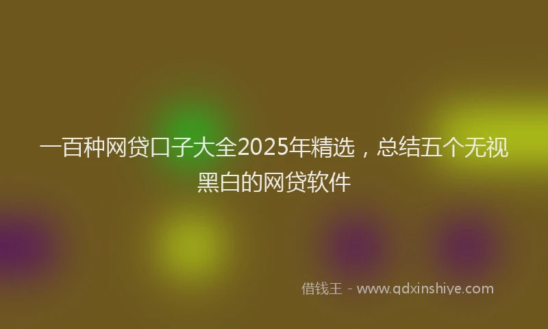 一百种网贷口子大全2025年精选，总结五个无视黑白的网贷软件