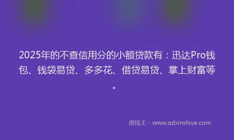 2025年的不查信用分的小额贷款有：迅达Pro钱包、钱袋易贷、多多花、借贷易贷、掌上财富等。