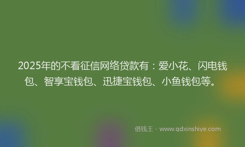 2025年的不看征信网络贷款有：爱小花、闪电钱包、智享宝钱包、迅捷宝钱包、小鱼钱包等。