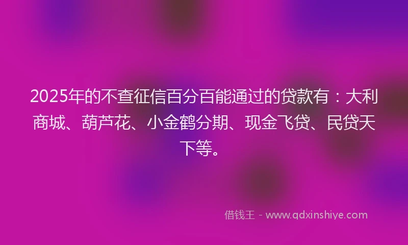 2025年的不查征信百分百能通过的贷款有：大利商城、葫芦花、小金鹤分期、现金飞贷、民贷天下等。