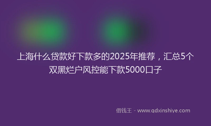 上海什么贷款好下款多的2025年推荐，汇总5个双黑烂户风控能下款5000口子