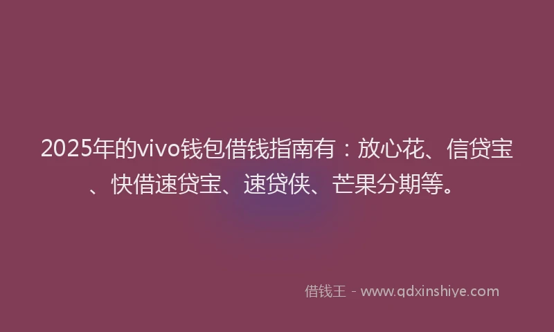 2025年的vivo钱包借钱指南有：放心花、信贷宝、快借速贷宝、速贷侠、芒果分期等。