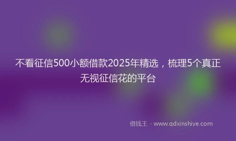 不看征信500小额借款2025年精选，梳理5个真正无视征信花的平台