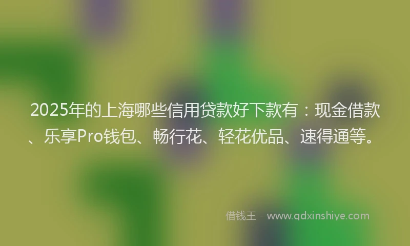 2025年的上海哪些信用贷款好下款有：现金借款、乐享Pro钱包、畅行花、轻花优品、速得通等。