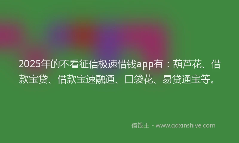2025年的不看征信极速借钱app有：葫芦花、借款宝贷、借款宝速融通、口袋花、易贷通宝等。