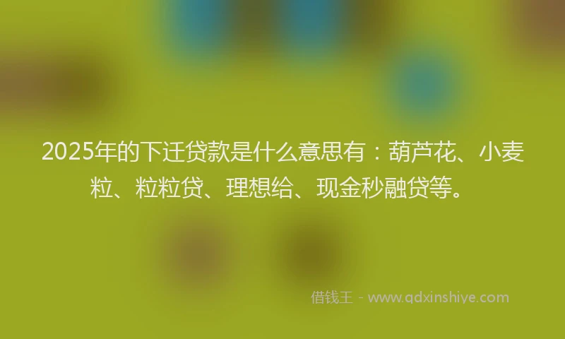 2025年的下迁贷款是什么意思有：葫芦花、小麦粒、粒粒贷、理想给、现金秒融贷等。