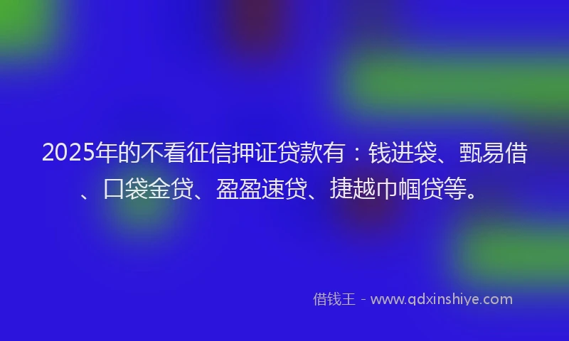 2025年的不看征信押证贷款有：钱进袋、甄易借、口袋金贷、盈盈速贷、捷越巾帼贷等。