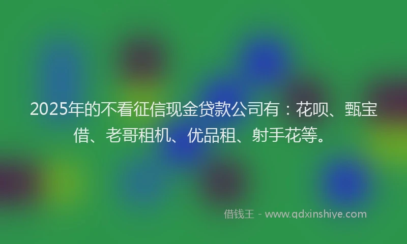 2025年的不看征信现金贷款公司有：花呗、甄宝借、老哥租机、优品租、射手花等。