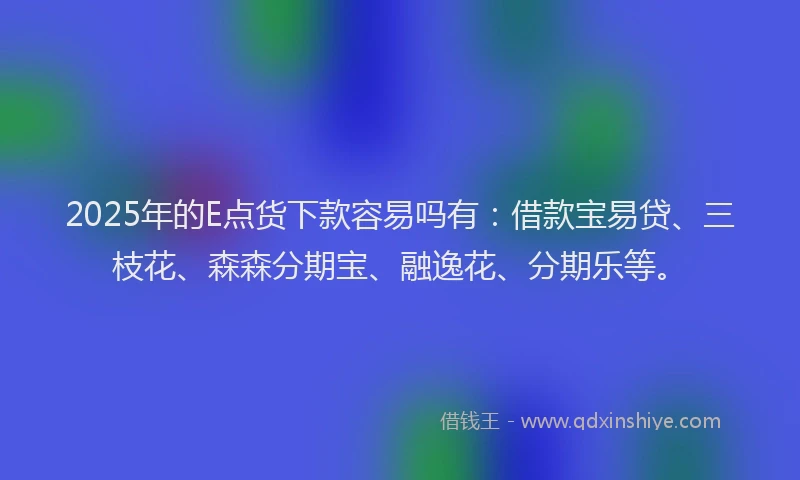 2025年的E点货下款容易吗有：借款宝易贷、三枝花、森森分期宝、融逸花、分期乐等。