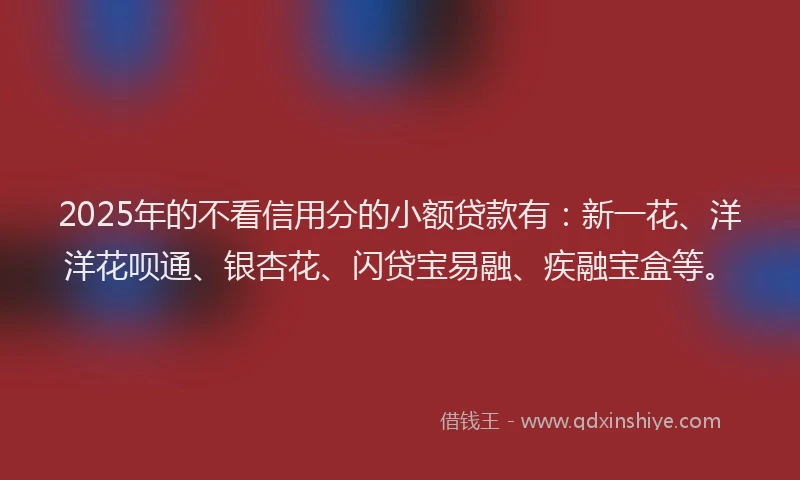 2025年的不看信用分的小额贷款有：新一花、洋洋花呗通、银杏花、闪贷宝易融、疾融宝盒等。