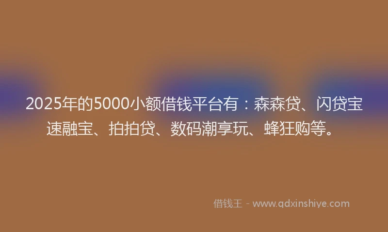2025年的5000小额借钱平台有：森森贷、闪贷宝速融宝、拍拍贷、数码潮享玩、蜂狂购等。