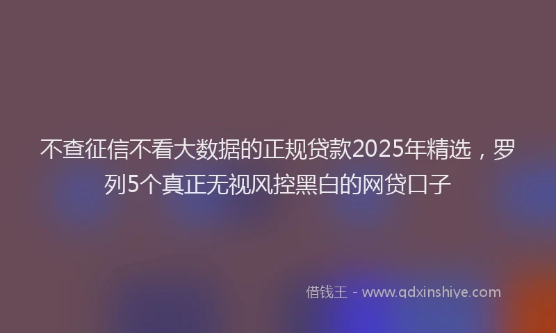 不查征信不看大数据的正规贷款2025年精选，罗列5个真正无视风控黑白的网贷口子