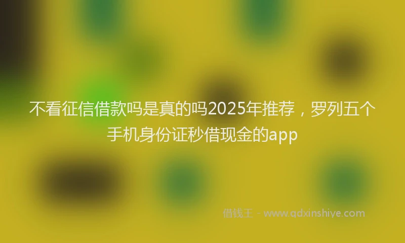 不看征信借款吗是真的吗2025年推荐，罗列五个手机身份证秒借现金的app