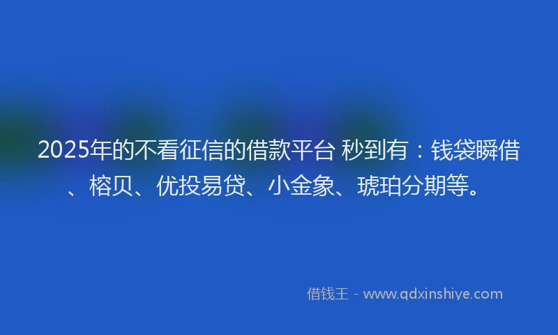 2025年的不看征信的借款平台 秒到有：钱袋瞬借、榕贝、优投易贷、小金象、琥珀分期等。