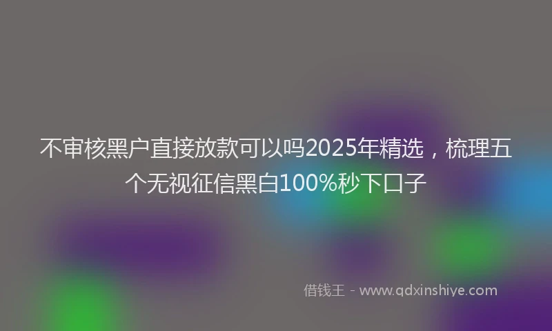 不审核黑户直接放款可以吗2025年精选，梳理五个无视征信黑白100%秒下口子