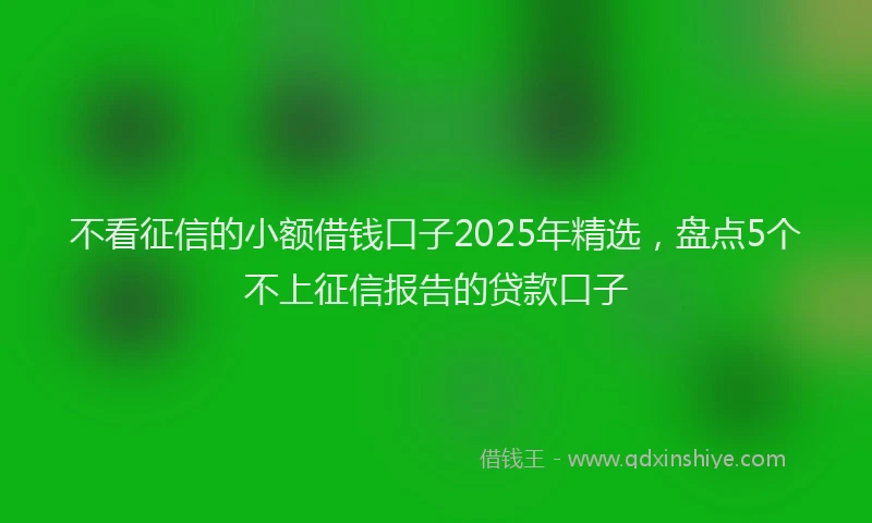 不看征信的小额借钱口子2025年精选，盘点5个不上征信报告的贷款口子